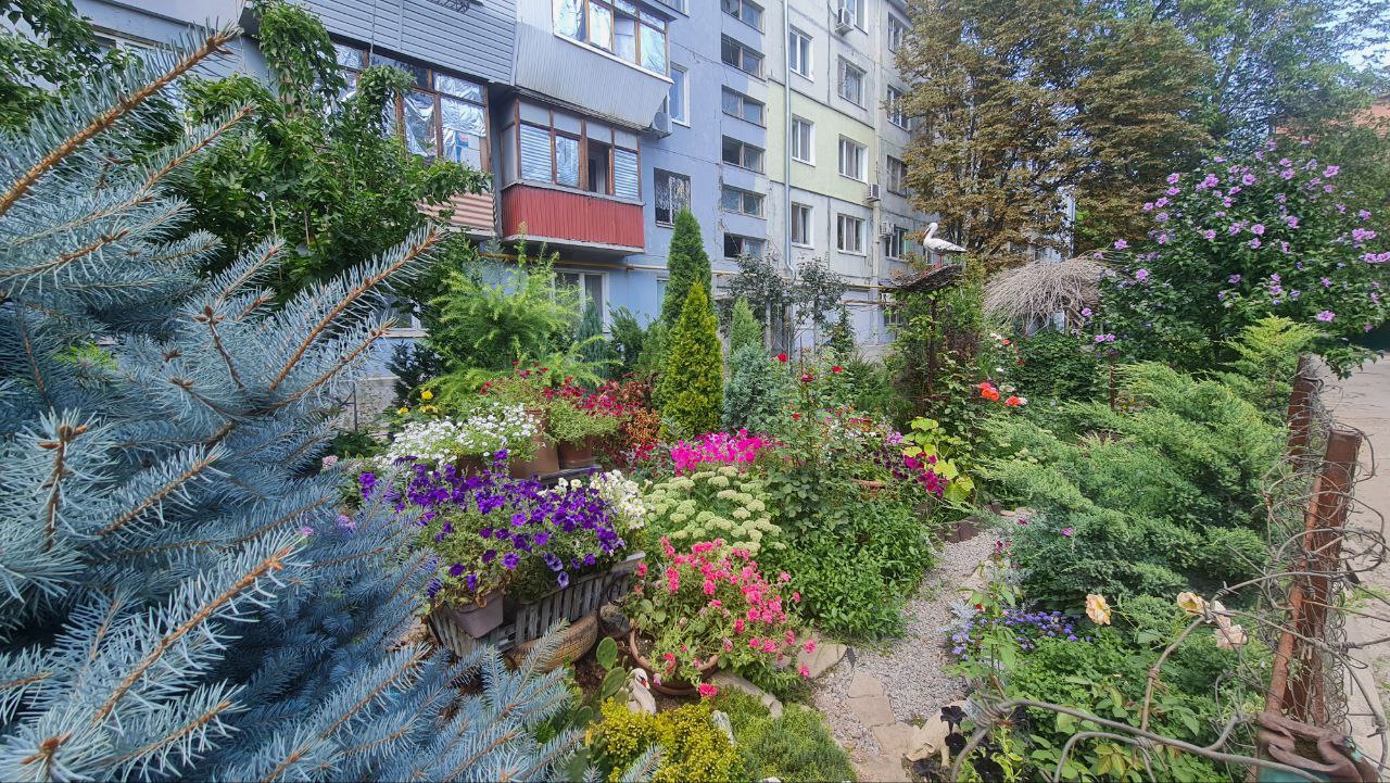 photo_2023-08-04_13-19-35