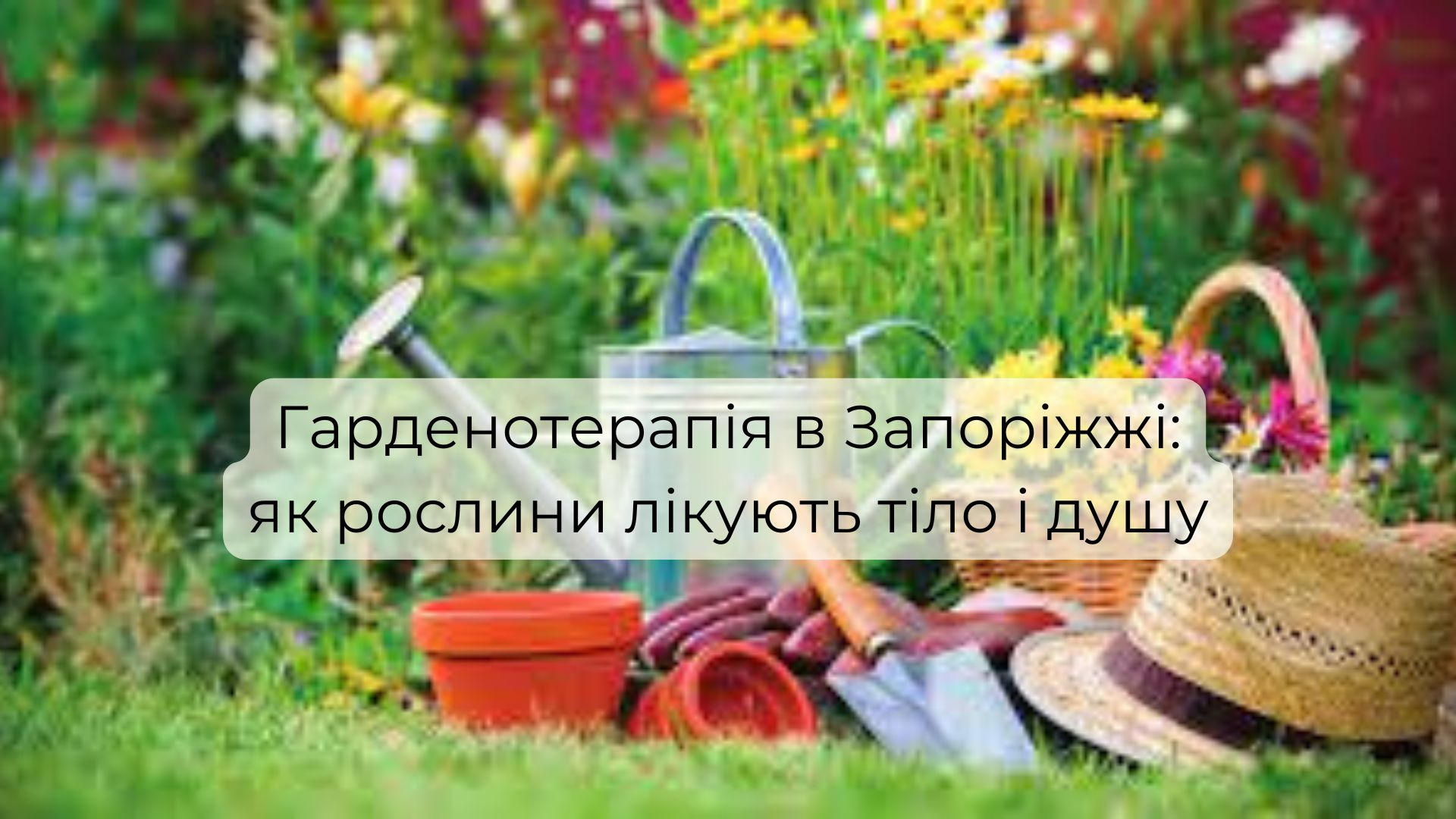 Гарденотерапія в Запоріжжі
