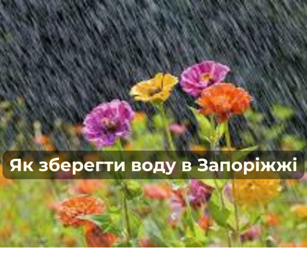 Збереження води в місті. Дощовий садок. Управління стічними водами Як зберегти воду в місті
