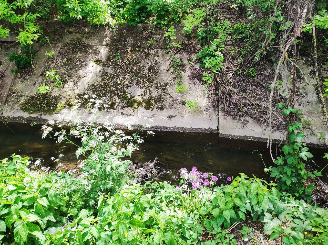 photo_2025-06-16_21-04-03