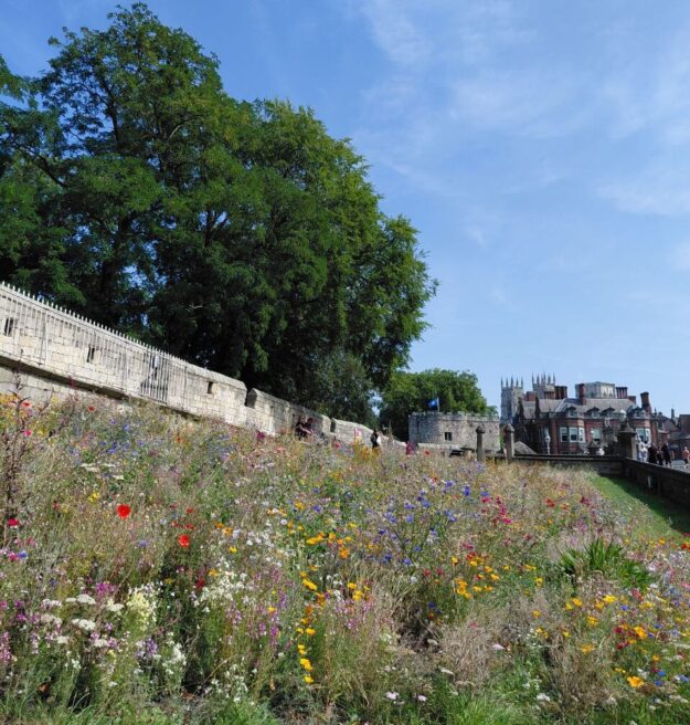photo_2025-08-21_13-31-43